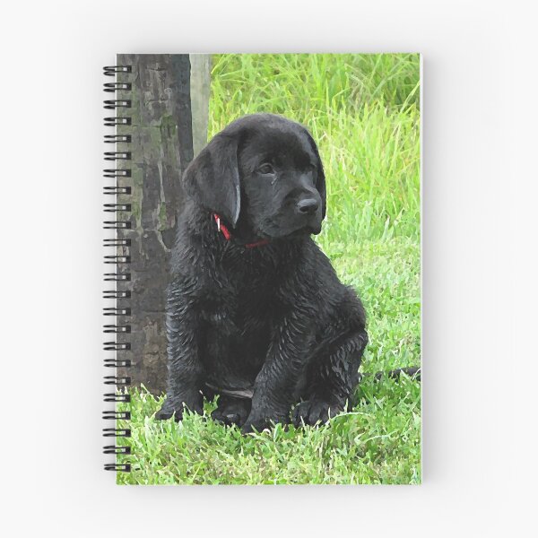 Item preview, Black Labrador Puppy - Day at the Pond designed and sold by BlackDogArtJudy.
