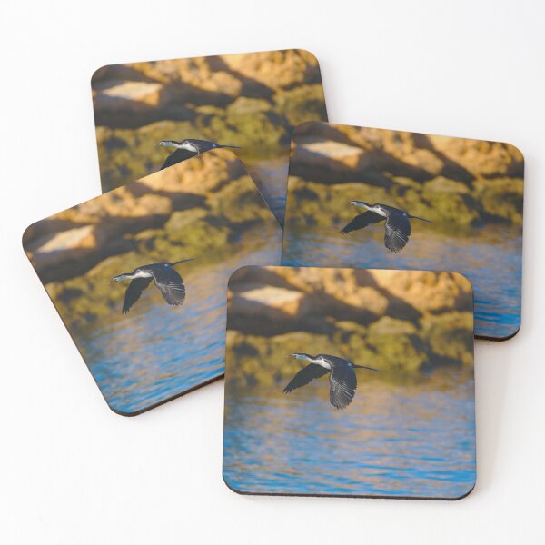 Item preview, A Cormorant Flying Low In the Harbor designed and sold by Jason Gilbert.