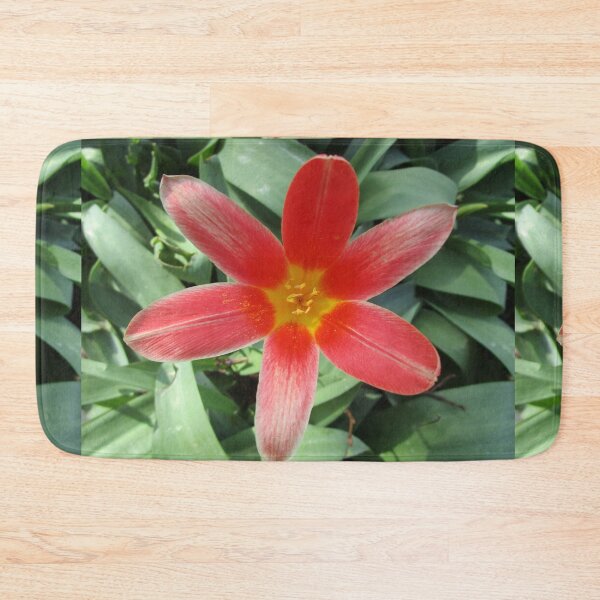 Item preview, In the petals of the welcoming red and yellow flower designed and sold by StephanieCAD.