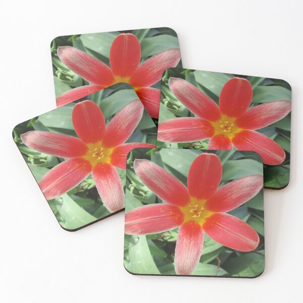 Item preview, In the petals of the welcoming red and yellow flower designed and sold by StephanieCAD.