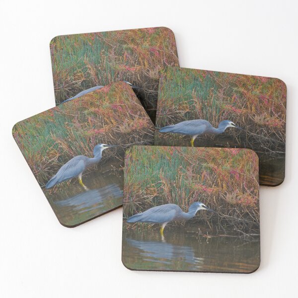 Item preview, A White Faced Heron Hunting In The Shallows designed and sold by Jason Gilbert.