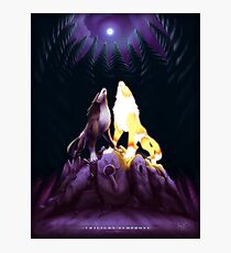 Twilight Symphony Photographic Print
