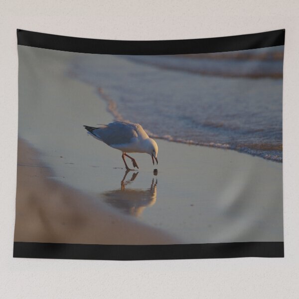 Item preview, A Seagull Playing With A Bit Of Seaweed designed and sold by Jason Gilbert.