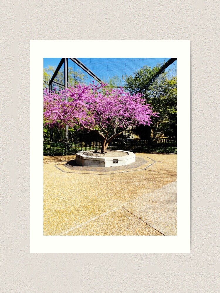 Alternate view of Tree Of Purple Art Print