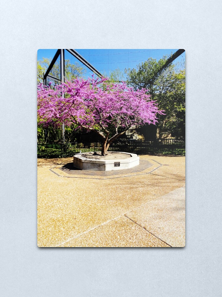 Alternate view of Tree Of Purple Metal Print
