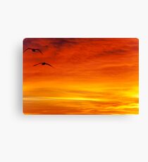 Existence Canvas Print