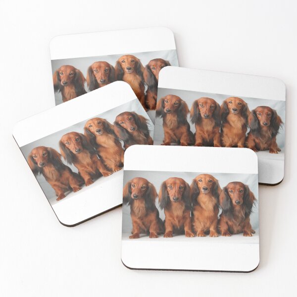 Item preview,  long haired dachshund designed and sold by WhiteVit.