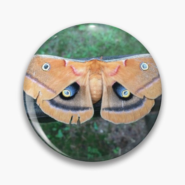 Item preview, Polyphemus Moth By Jennifer Star designed and sold by JenniferStar.