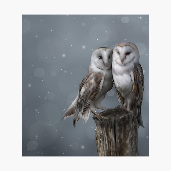 Silent Watchers Photographic Print
