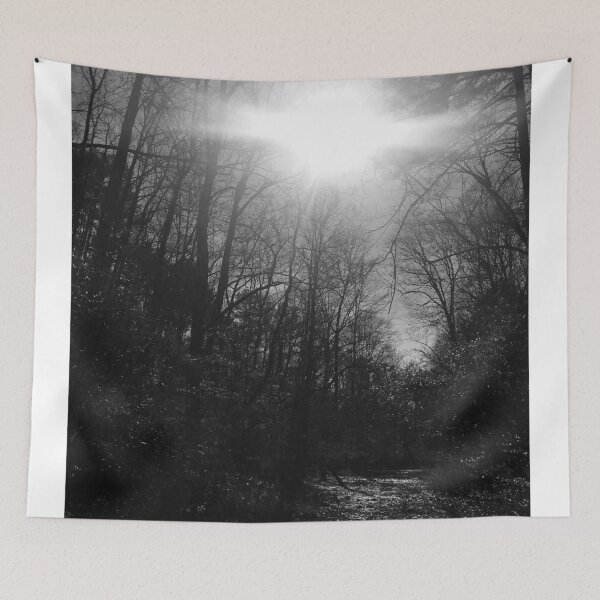 Item preview, Forest After The Rains designed and sold by Max Grimm.