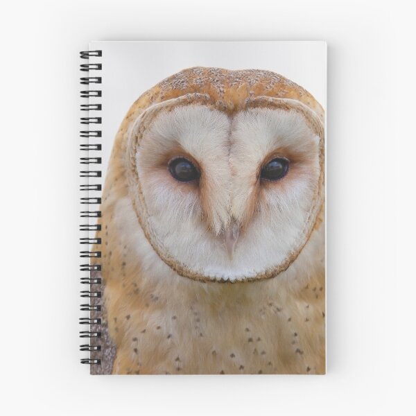 Item preview, Barn owl designed and sold by JN14364JN.