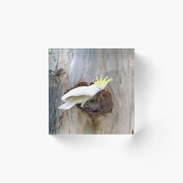 A Golden Crown Acrylic Block