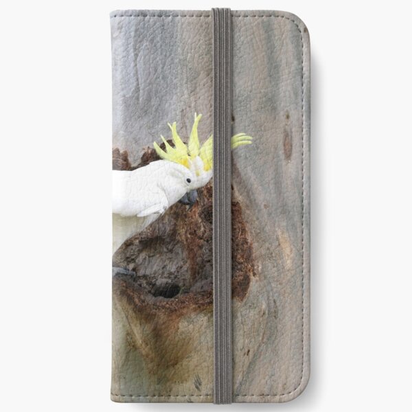 A Golden Crown iPhone Wallet