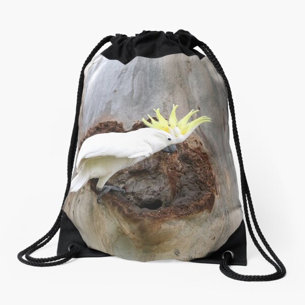 A Golden Crown Drawstring Bag