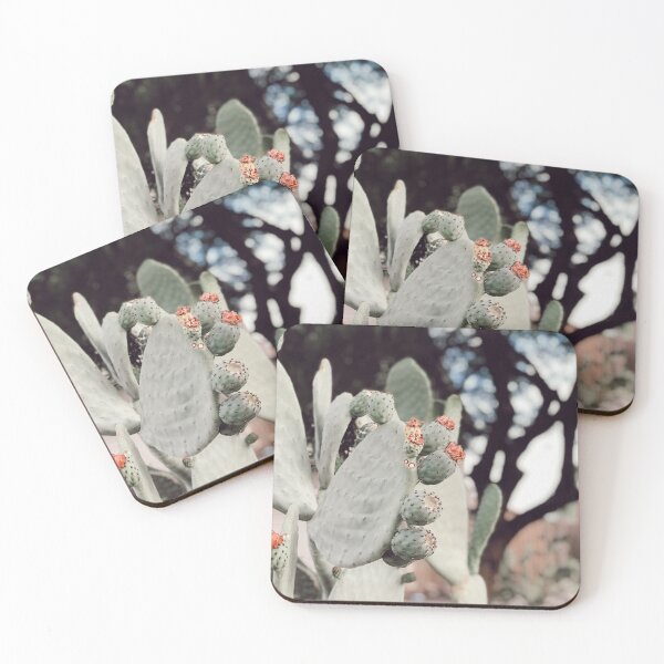 Aperçu de l'œuvre ARIZONA CACTI créée et vendue par Isabel  Erickson.