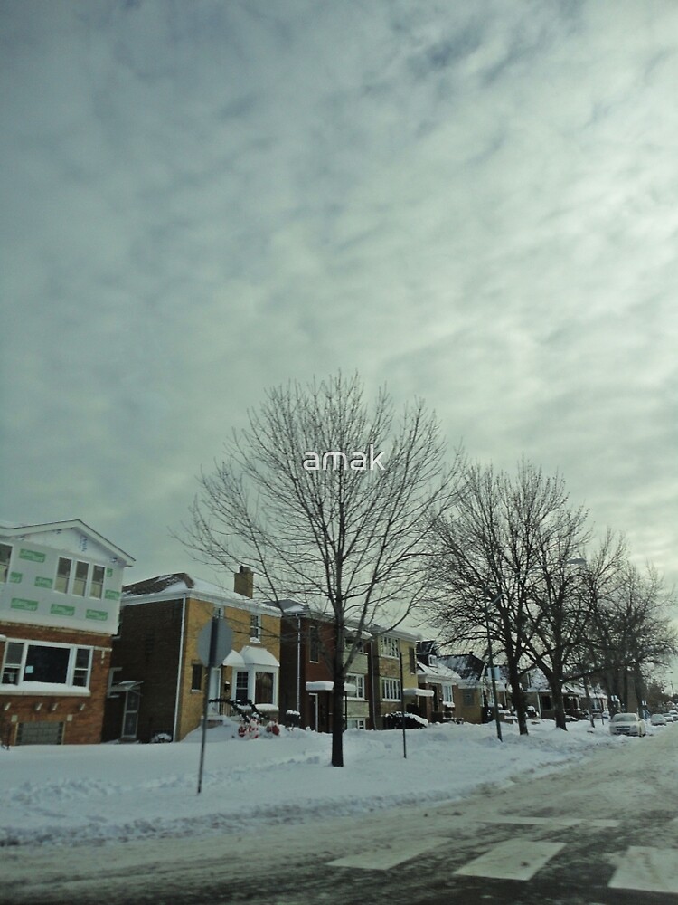 Winter Time Scene by amak