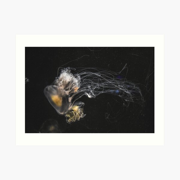 Flower Hat Jelly Art Print