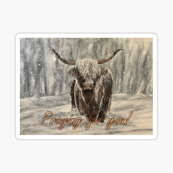 Snowy Highland Cow - Praying for You Card Sticker