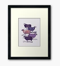 Cool Sweaters Framed Print