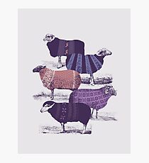 Cool Sweaters Photographic Print