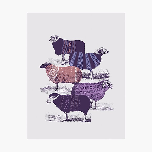 Cool Sweaters Photographic Print