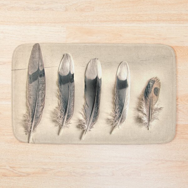 Item preview, Dove Feathers Still Life Modern Cottage Modern Country Art A129 designed and sold by byNicol.