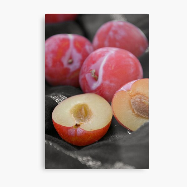Plums Metal Print