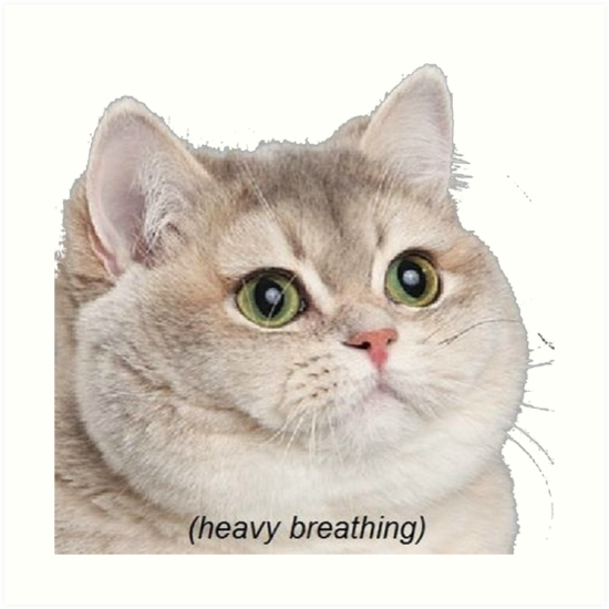 Heavy Breathing Cat- Improved" Art Prints by godlymagikarp | Redbubble