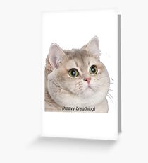 Heavy Breathing Cat- Improved Greeting Card