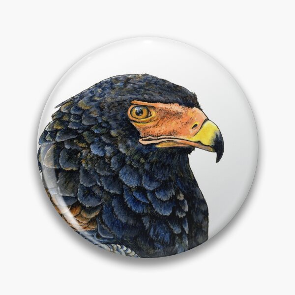 Item preview, BATELEUR SNAKE EAGLE designed and sold by PaddyMorton.