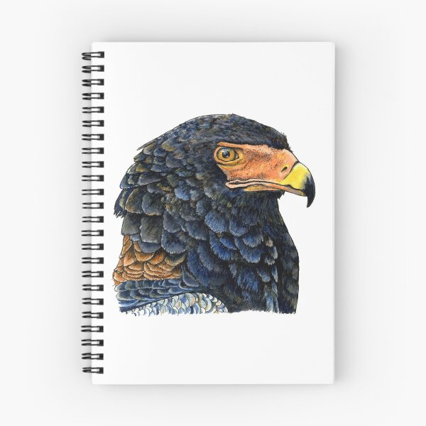 Item preview, BATELEUR SNAKE EAGLE designed and sold by PaddyMorton.