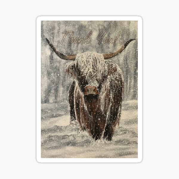 Snowy Highland Cow - Thank You Card Sticker