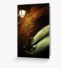 Lantern Light Greeting Card