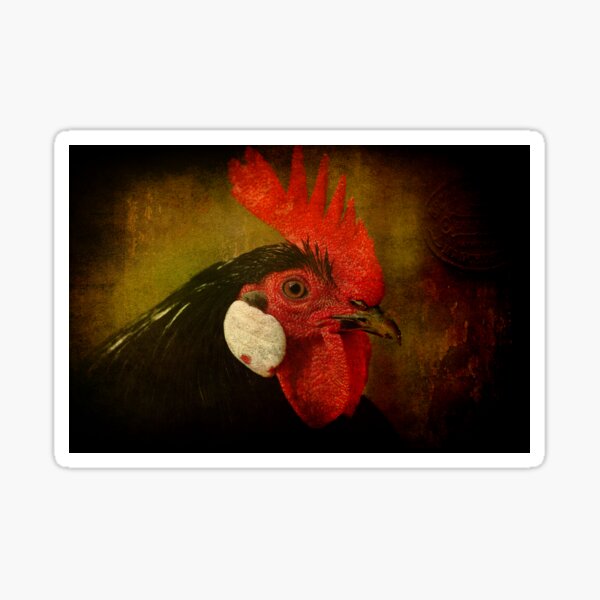 Rocky Rooster Sticker