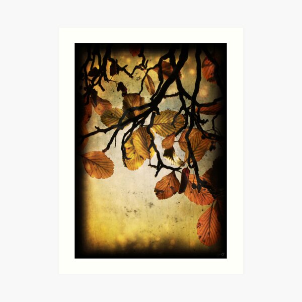 Joy Art Print