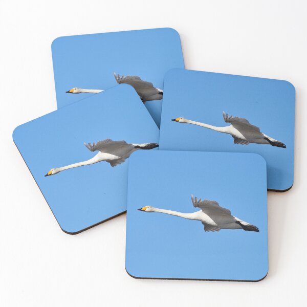 Item preview, Whooper swan and the blue blue sky designed and sold by Jouko Lehto Photography.
