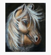 Unique painted horse Fotodruck