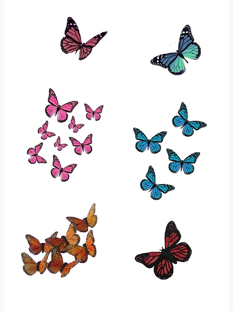 Butterfly Stickers  Printable Sticker Bundle