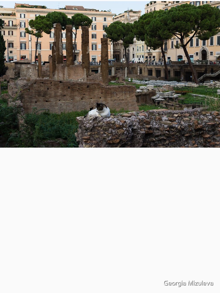 Oh So Rome Cats, Umbrella Pines and Ancient Ruins