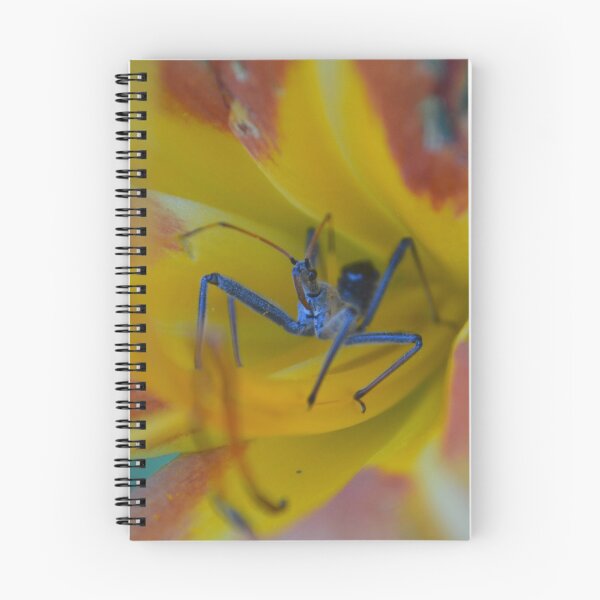 Item preview, mantis in the bloom designed and sold by dnparker.