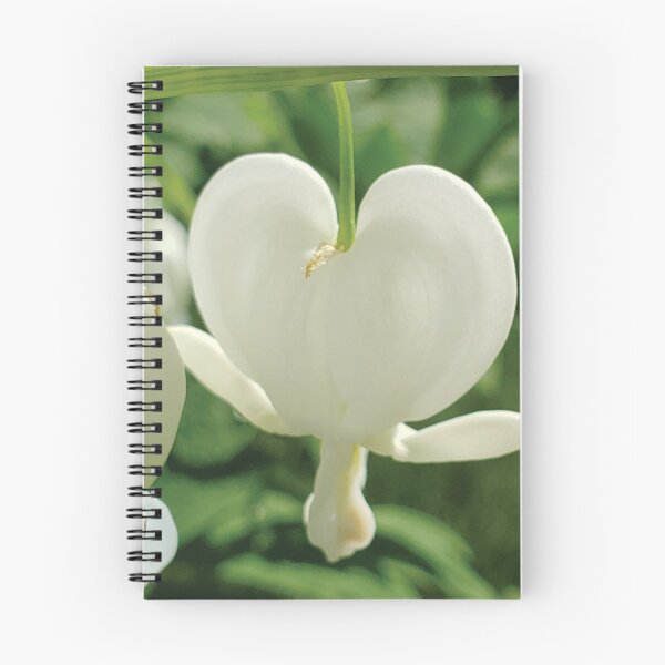 Item preview, White Bleeding Hearts designed and sold by Diane Petker.