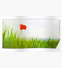imagination Poster