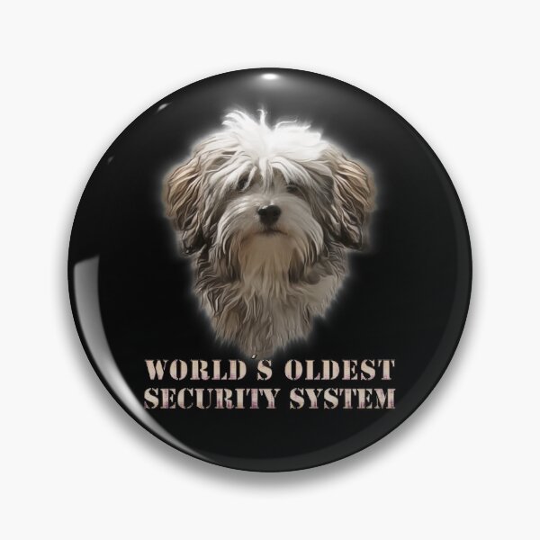Item preview, World's oldest security system designed and sold by GNDesign.