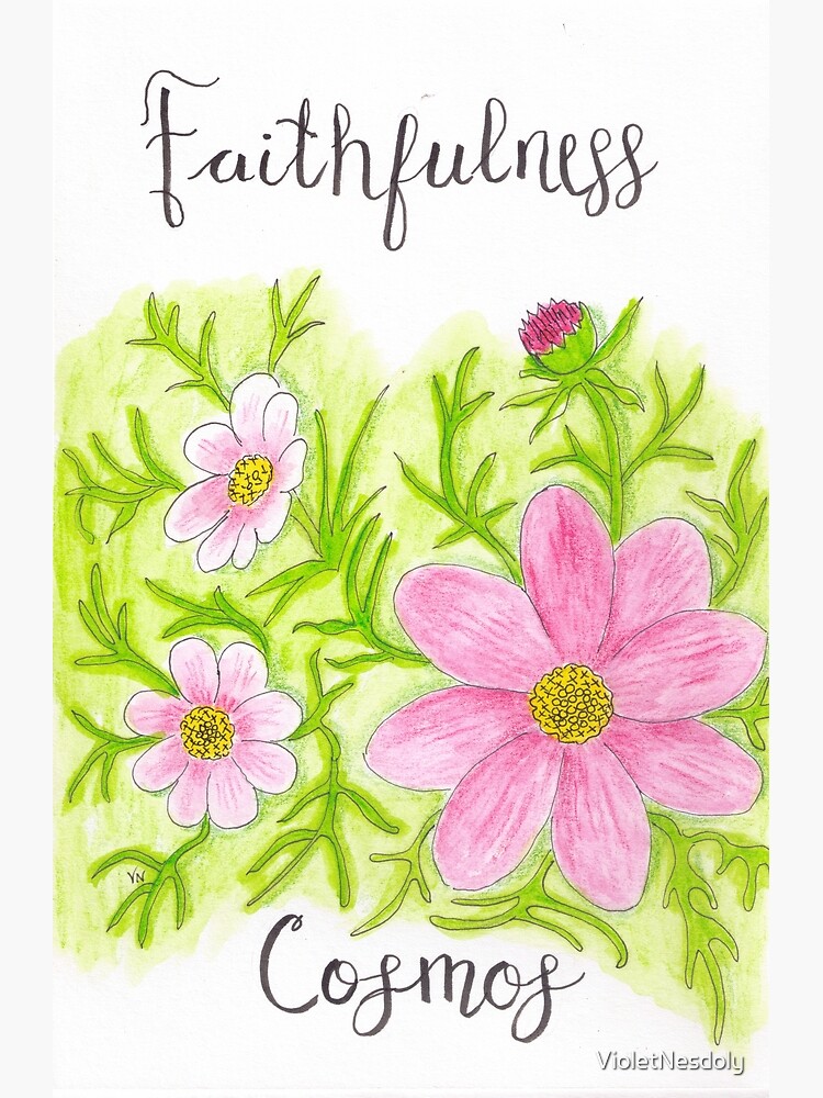 Cosmos Flower - Faithfulness by VioletNesdoly