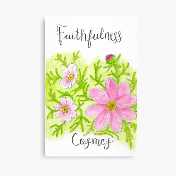 Cosmos Flower - Faithfulness Canvas Print