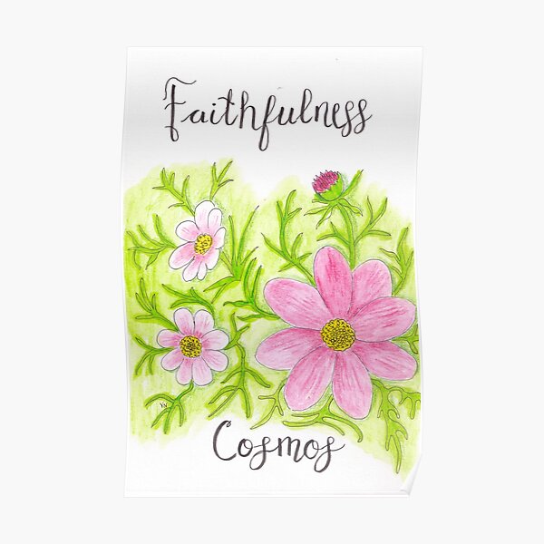Cosmos Flower - Faithfulness Poster