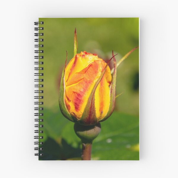 Item preview, Yellow rose bud designed and sold by Zentura.