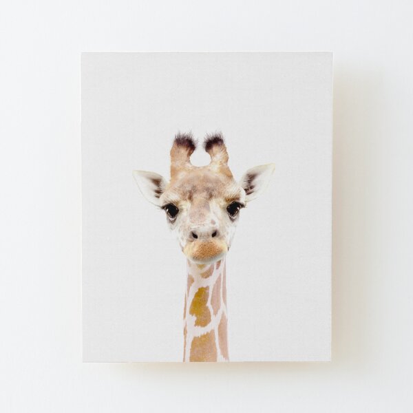 giraffe baby decorations nursery
