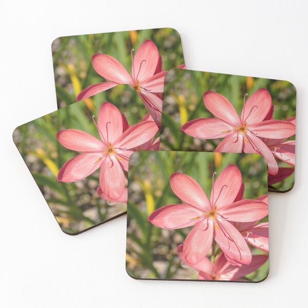 Item preview, Pink flowers designed and sold by Zentura.