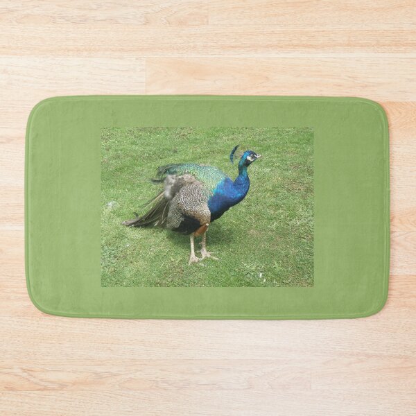 Item preview, Pretty Posing Peacock Photograph designed and sold by naturegallery.